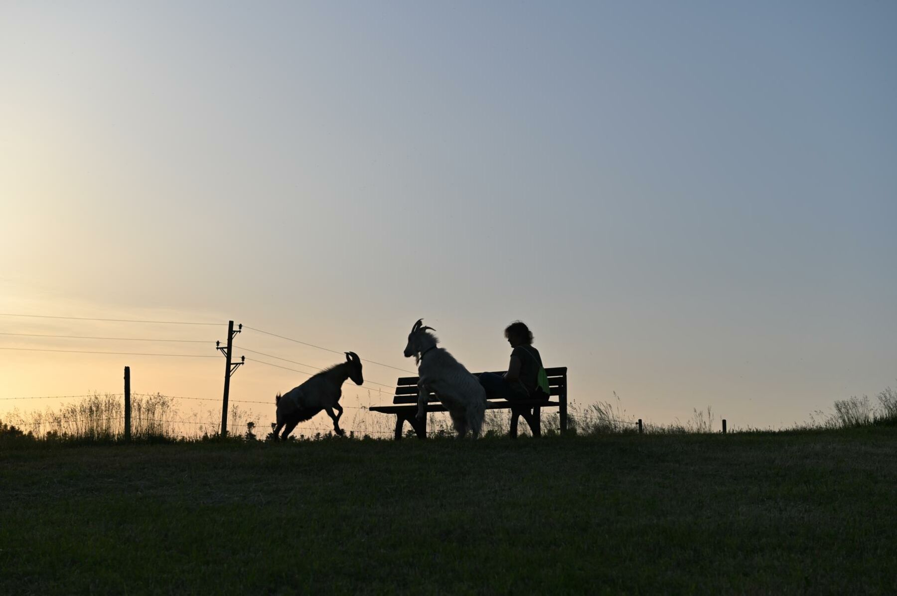Urlaub auf dem Gebelehof
