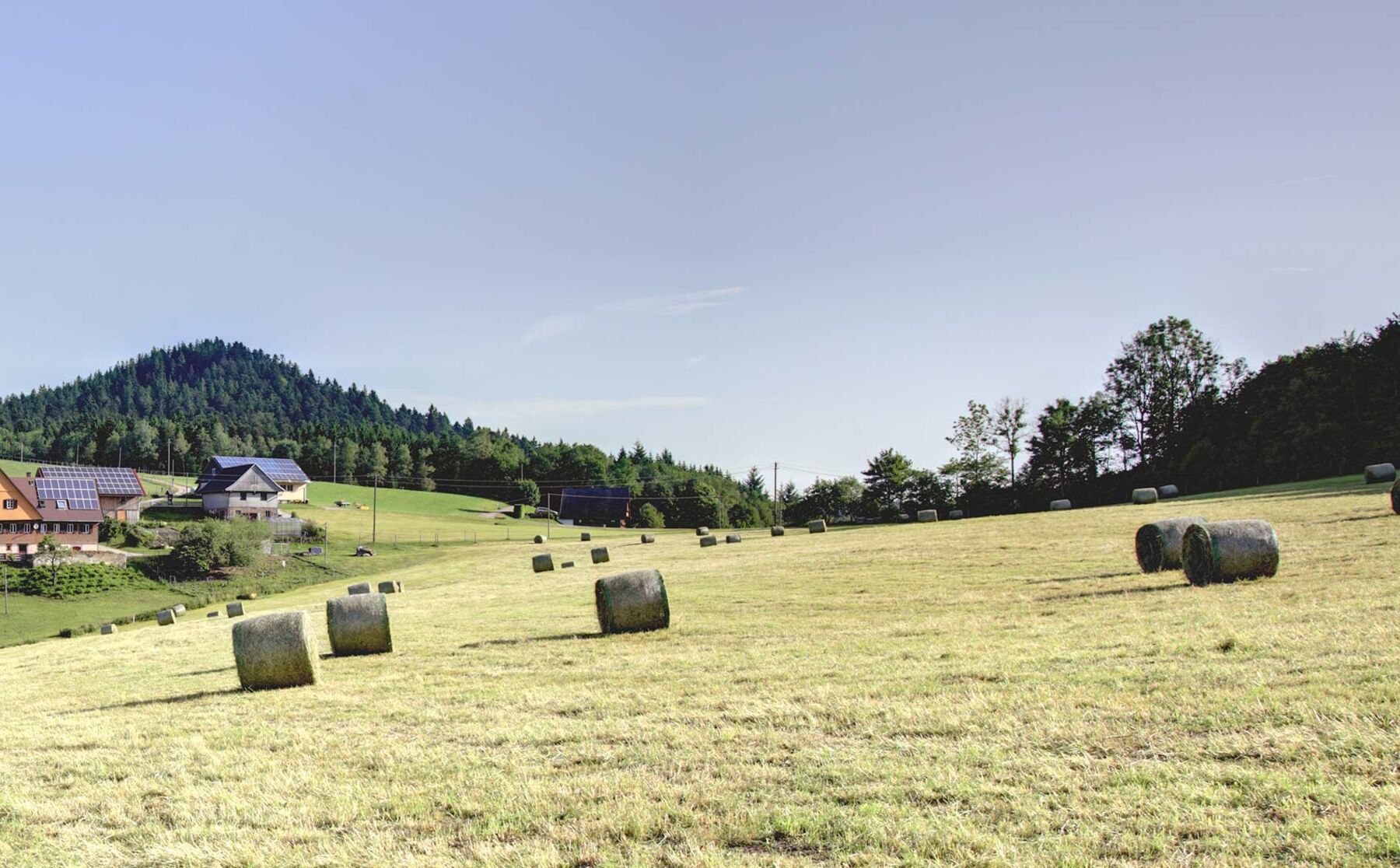 Urlaub auf dem Gebelehof